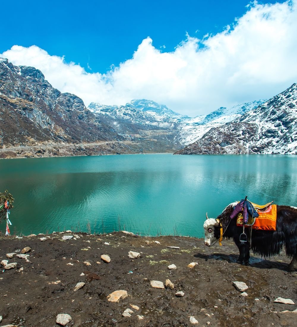 2-10.jpg Beautiful Gangtok Holiday Tour Package - Image 3