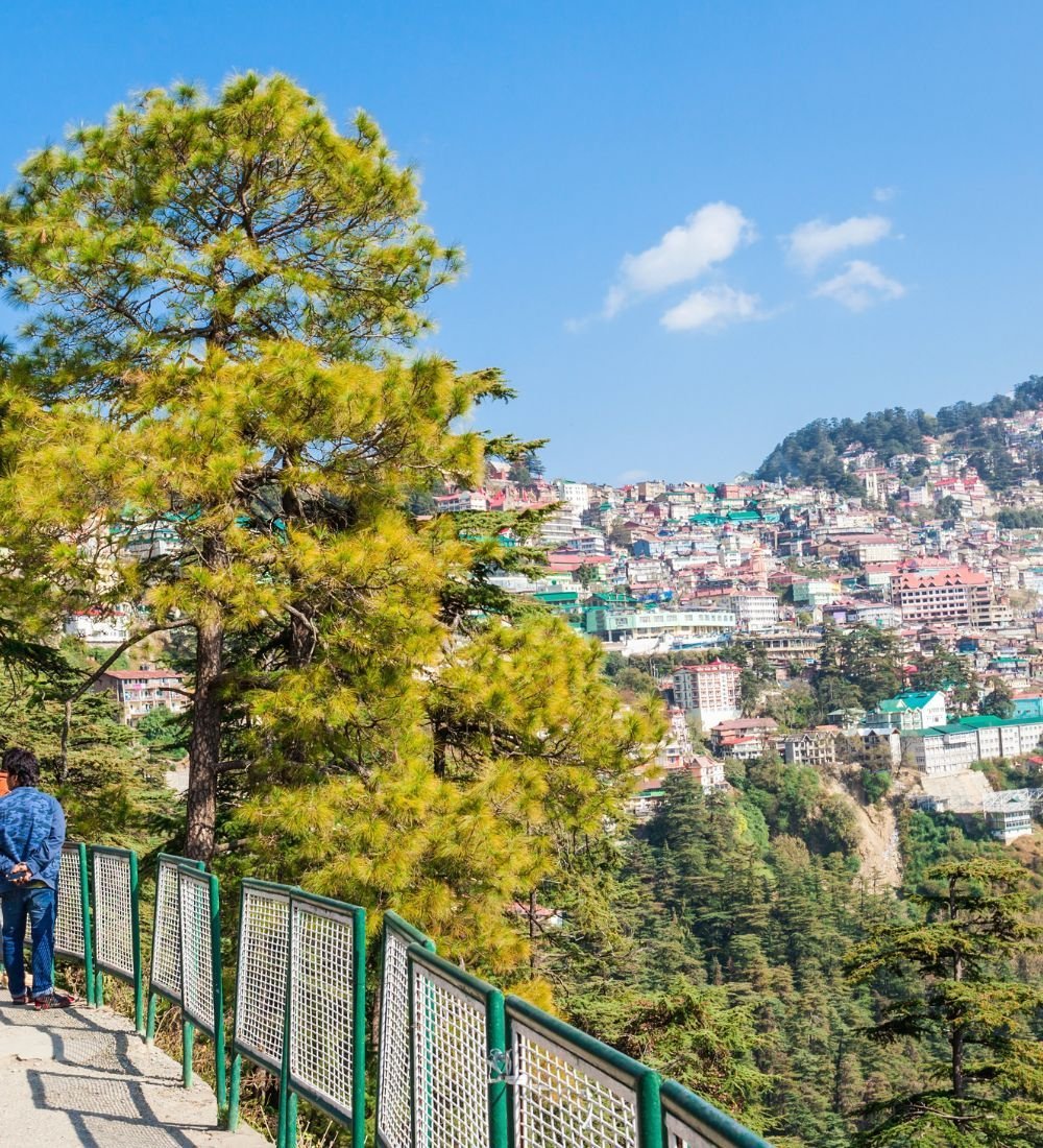 3-1.jpg Shimla Manali - Honeymoon - Image 1