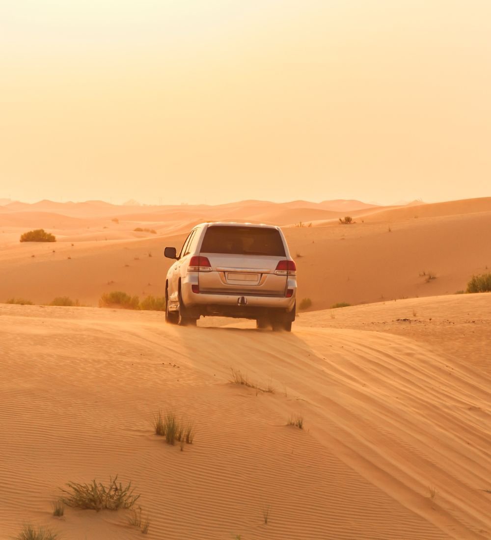 6.jpg Best Of Saudi Arabia - Image 4
